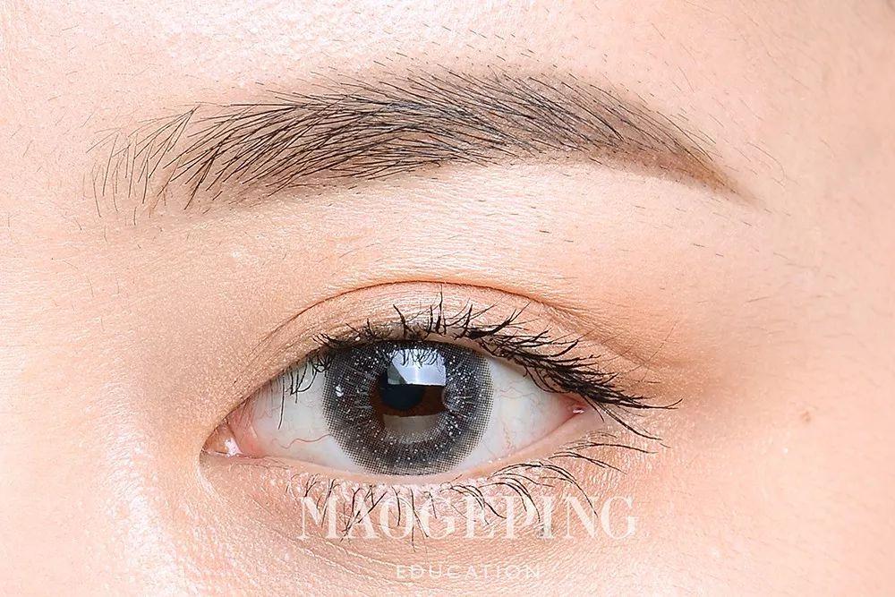 2025年广东省自然教育季落下帷幕 累计开展490余场活动