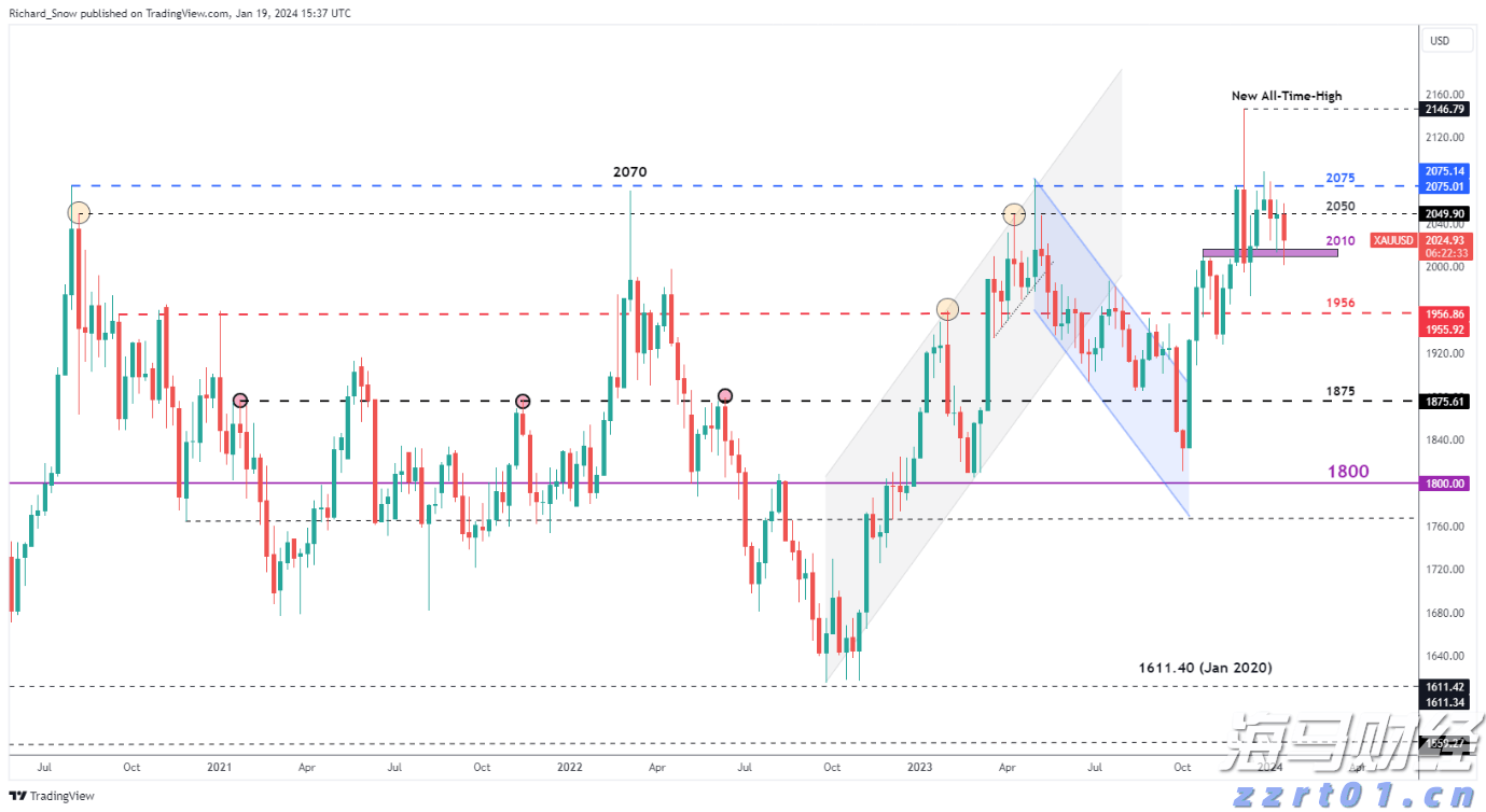 南农晨读丨抢“鲜”