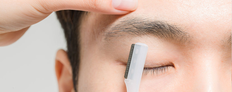 潮州茶园“生态加减法”：“茶草共生”模式激活茶产业绿色转型新路径