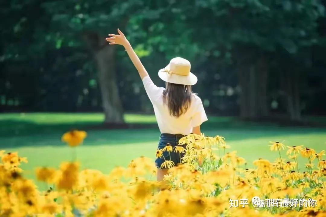 “鱼翅自由”的代价：多条大青鲨命丧黄泉，走私者终落网！