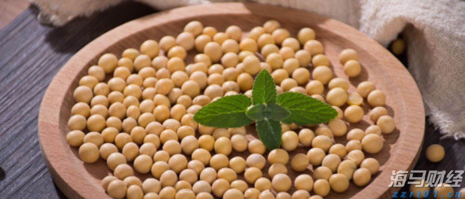 年度“最小太阳”登场