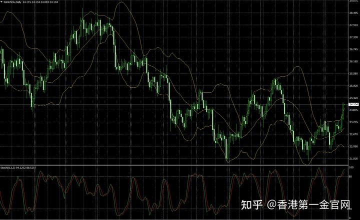 在“行走的课堂”里解锁文化密码