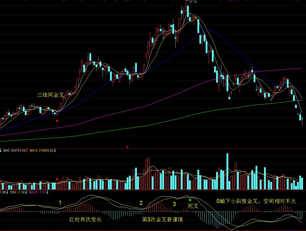 “十四五”以来，我国企业净增1999.9万户