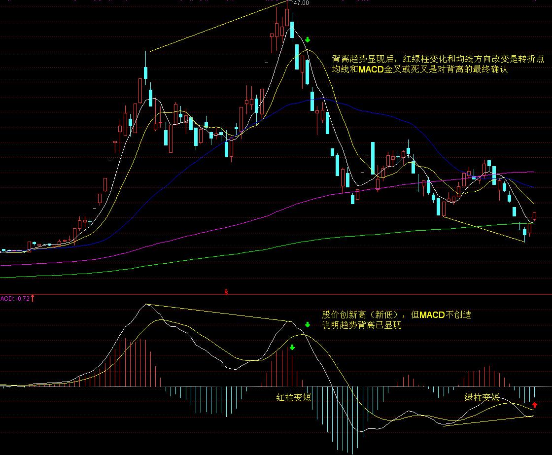 防台风Ⅳ级应急响应+台风白色预警！潮州最新发布→