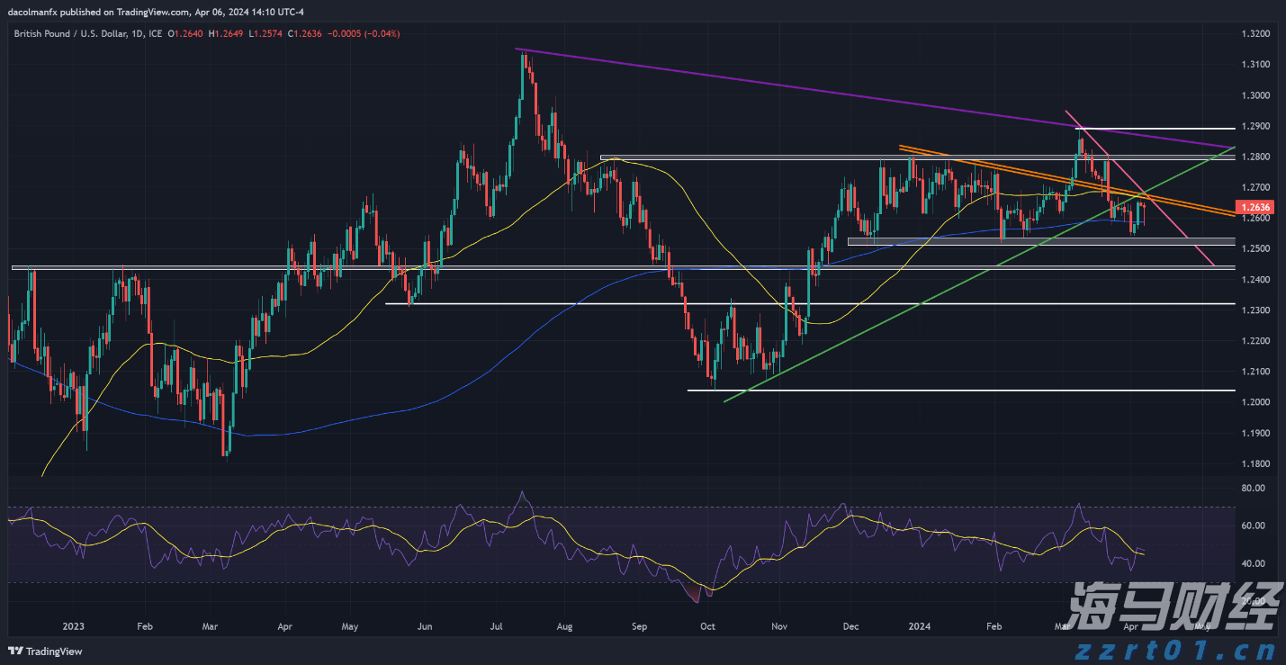 湾区职工挥拍迎全运！粤港澳大湾区职工匹克球邀请赛总决赛在深圳收官