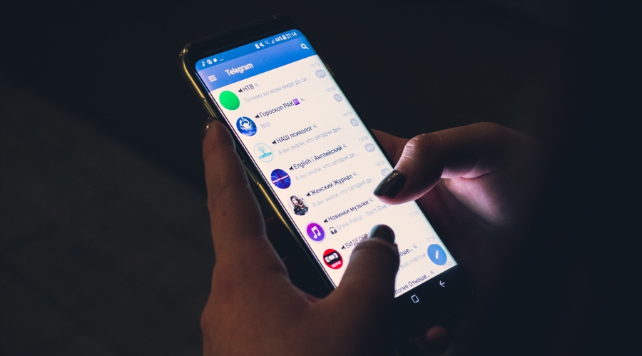 深中通办事项增至800项 新增事项重点聚焦公积金、人社、医保、市监等领域