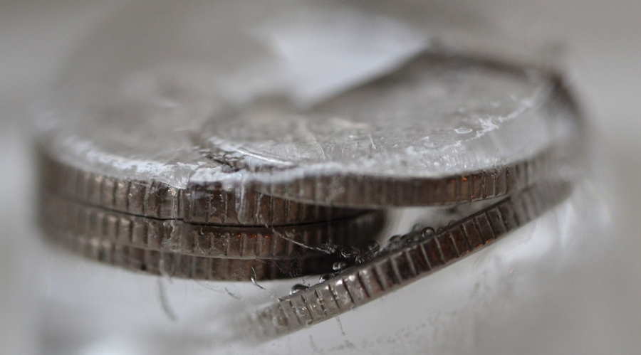 广东一周新增225例基孔肯雅热本地个案，疫情态势总体平稳